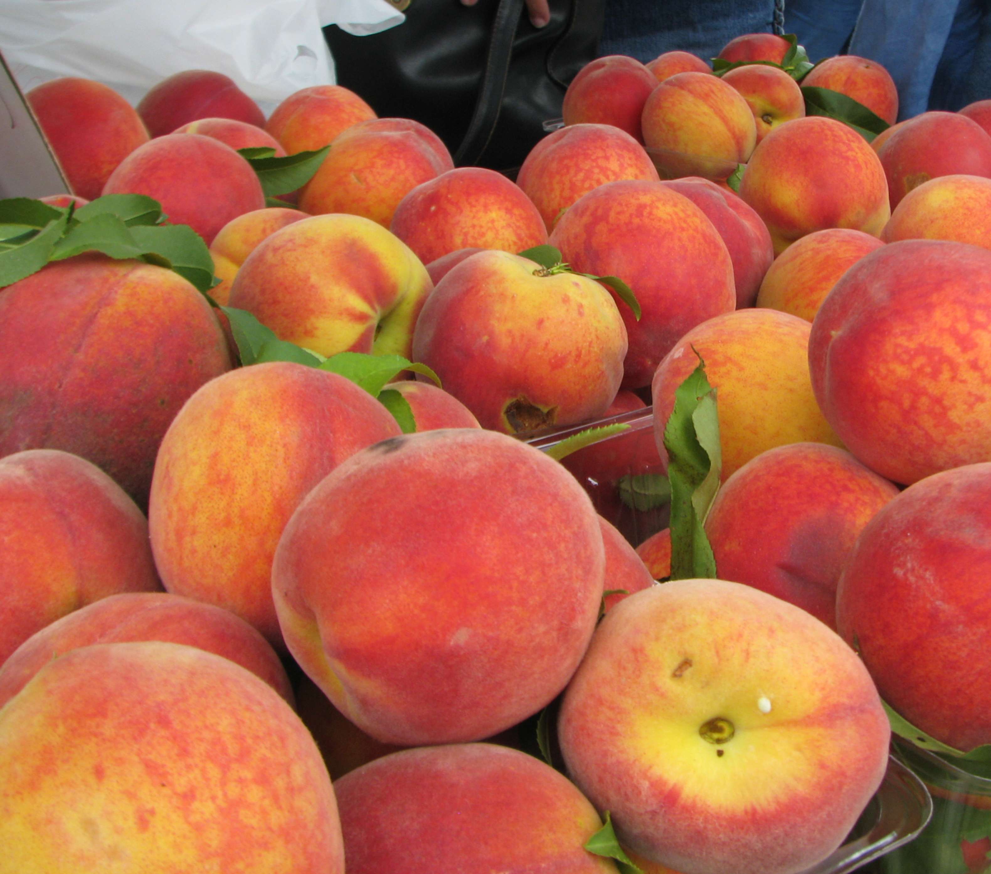 Cobden Peach Festival Enjoy Illinois Enjoy Illinois